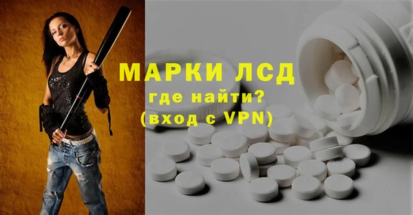 spice Аркадак