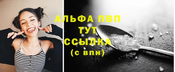 spice Аркадак