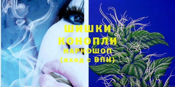 spice Аркадак