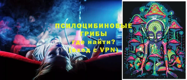 spice Аркадак