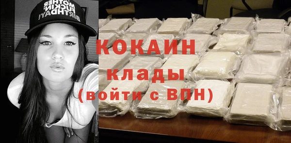 spice Аркадак